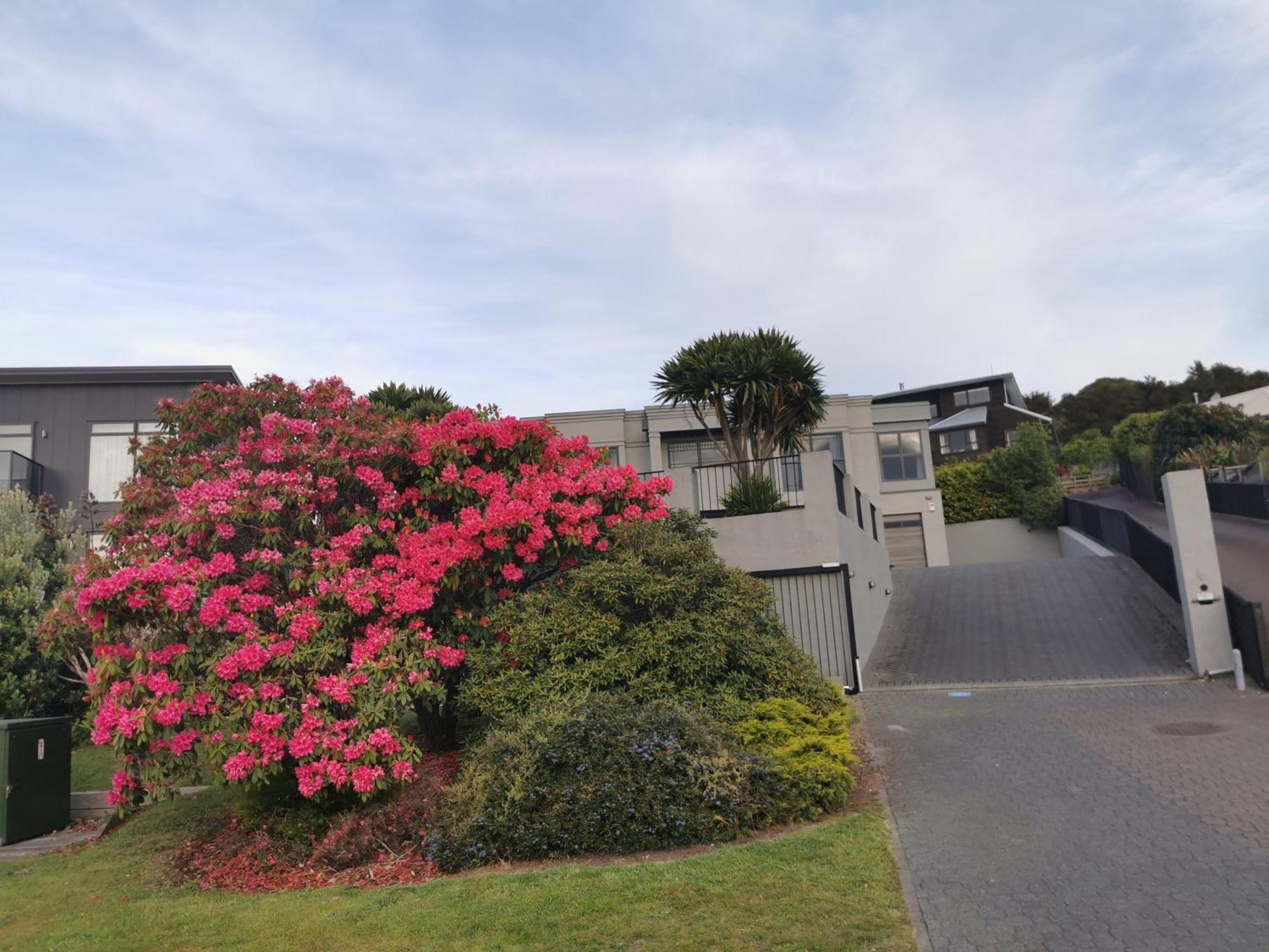 Lakeview Holiday Hideaway Taupo Bagian luar foto