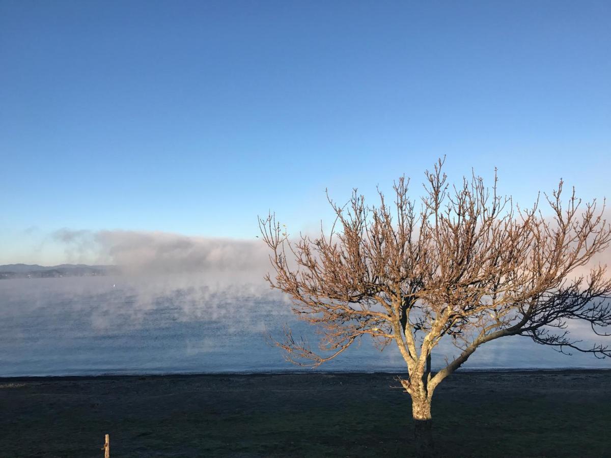 Lakeview Holiday Hideaway Taupo Bagian luar foto
